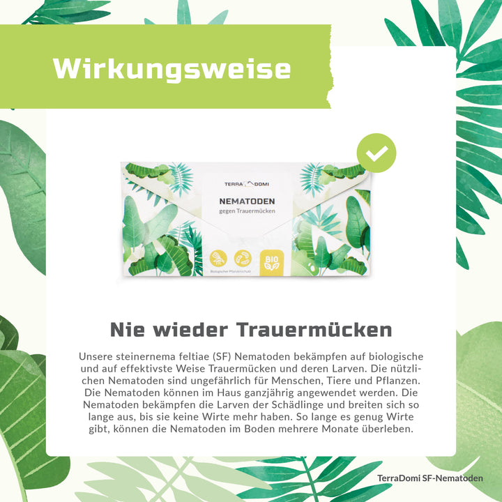 Nematoden_Grafik_Amazon4