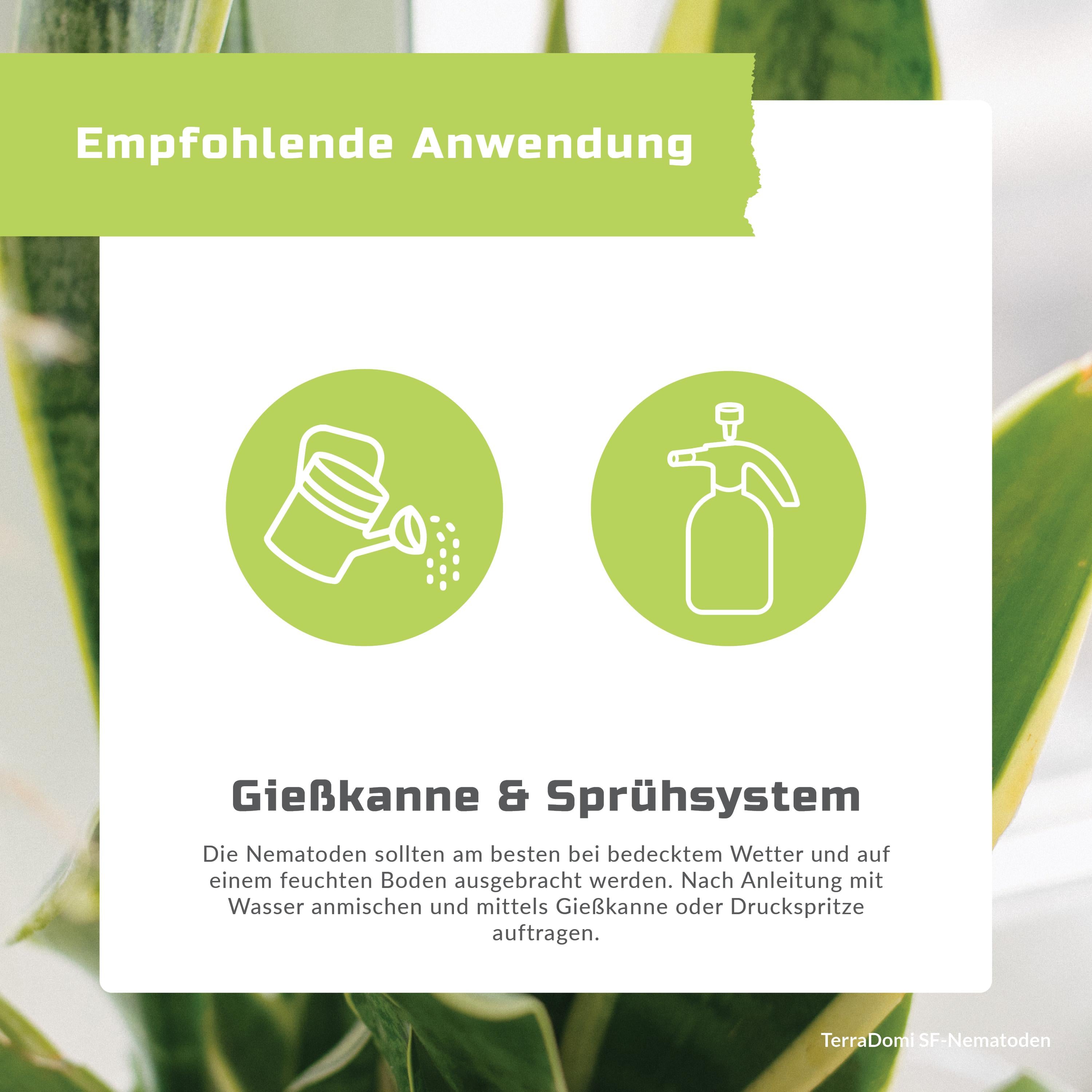 Nematoden_Grafik_Amazon6