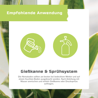 Nematoden_Grafik_Amazon6