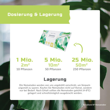 Nematoden_Grafik_Amazon7