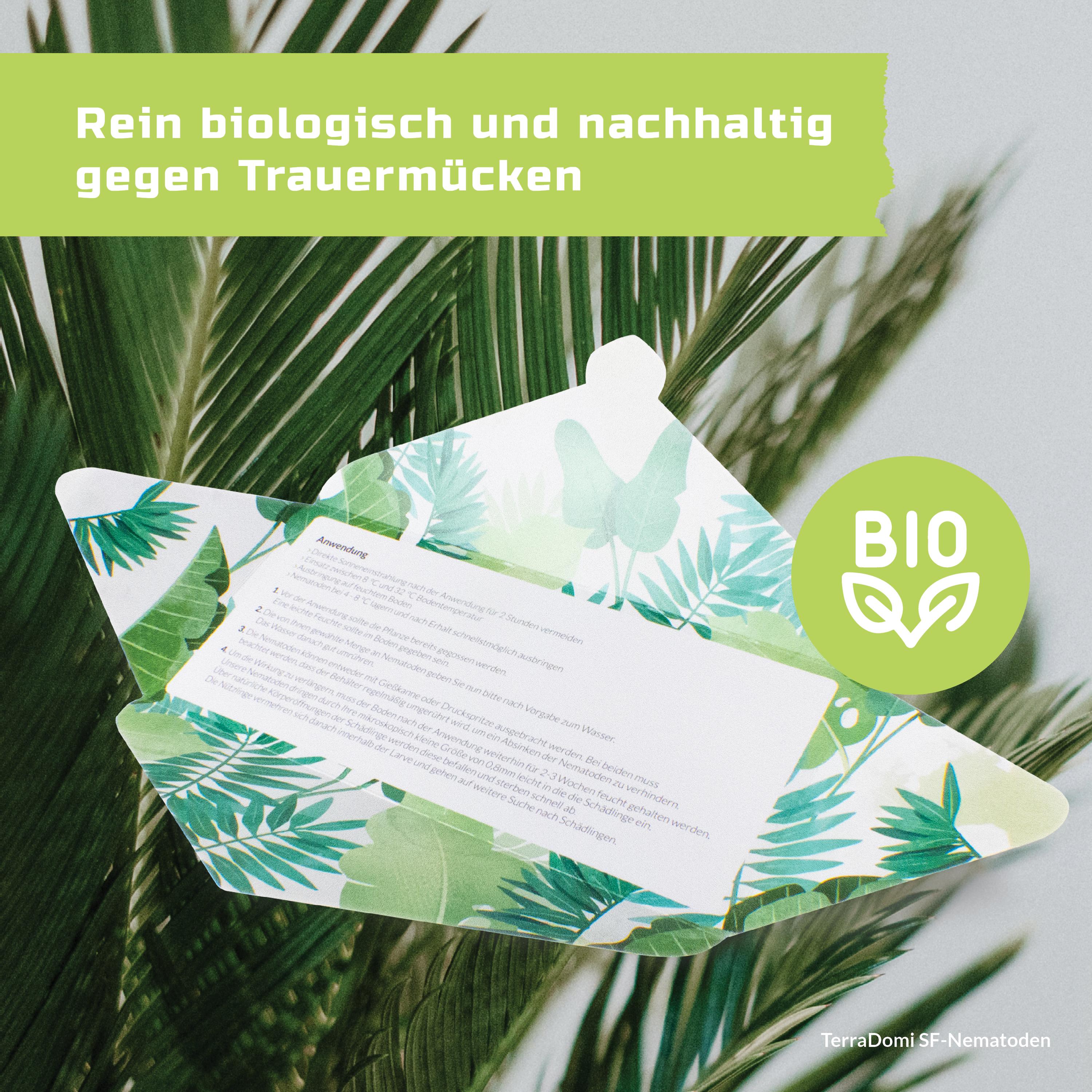 Nematoden_Grafik_Amazon8