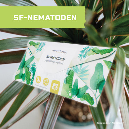 Nematoden_Grafik_Amazon9