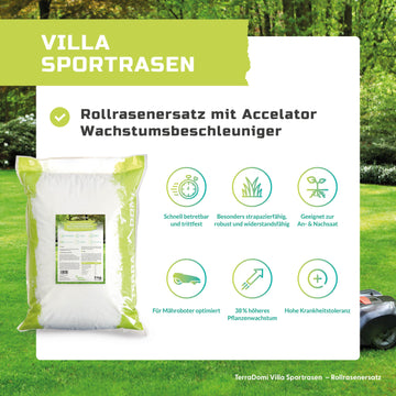 Villarasen_Grafik_3kg2